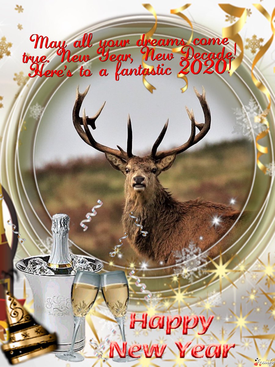 Exmoor BV Safari (@exmoorwildlife) on Twitter photo 