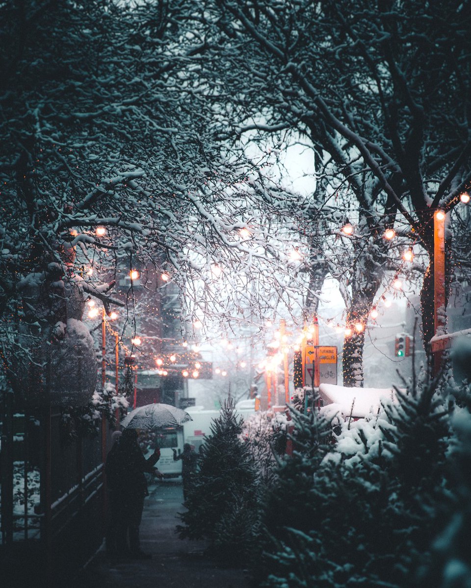 Gustbuster1's tweet photo. ❄️☂️😍 https://t.co/2nXw4VgH2Z