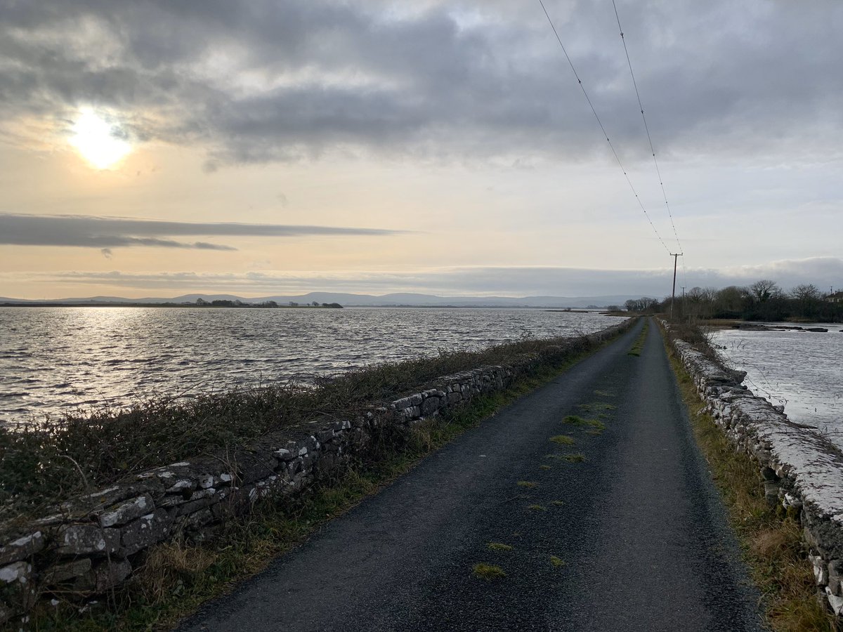 UniOfGalwaySU's tweet photo. #100daysofwalking day 1 ✅ 
Inchiquin Island on Lough Corrib #Corribean #Galway 🦶 https://t.co/p5o3zz8JCW