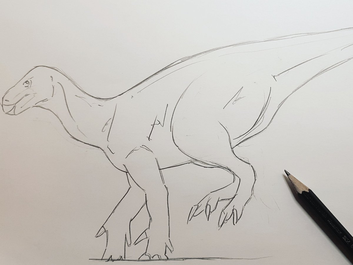 JedTaylorArtist's tweet image. This seems to make just as much sense to me...#Bipedal #Iguanodon