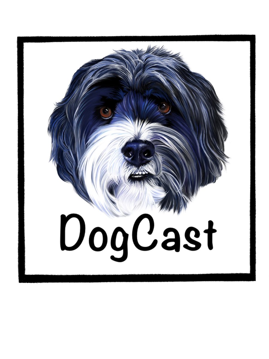 clarebalding's tweet photo. Happy New Year to all dog lovers: there is a new podcast coming your way very soon. Brilliant picture below of Archie by Jessica Holm. You can listen to a trail on this link (I hope it’ll work). #Dogcast https://t.co/qiwDvzhZNt https://t.co/DDqWpDZgBa