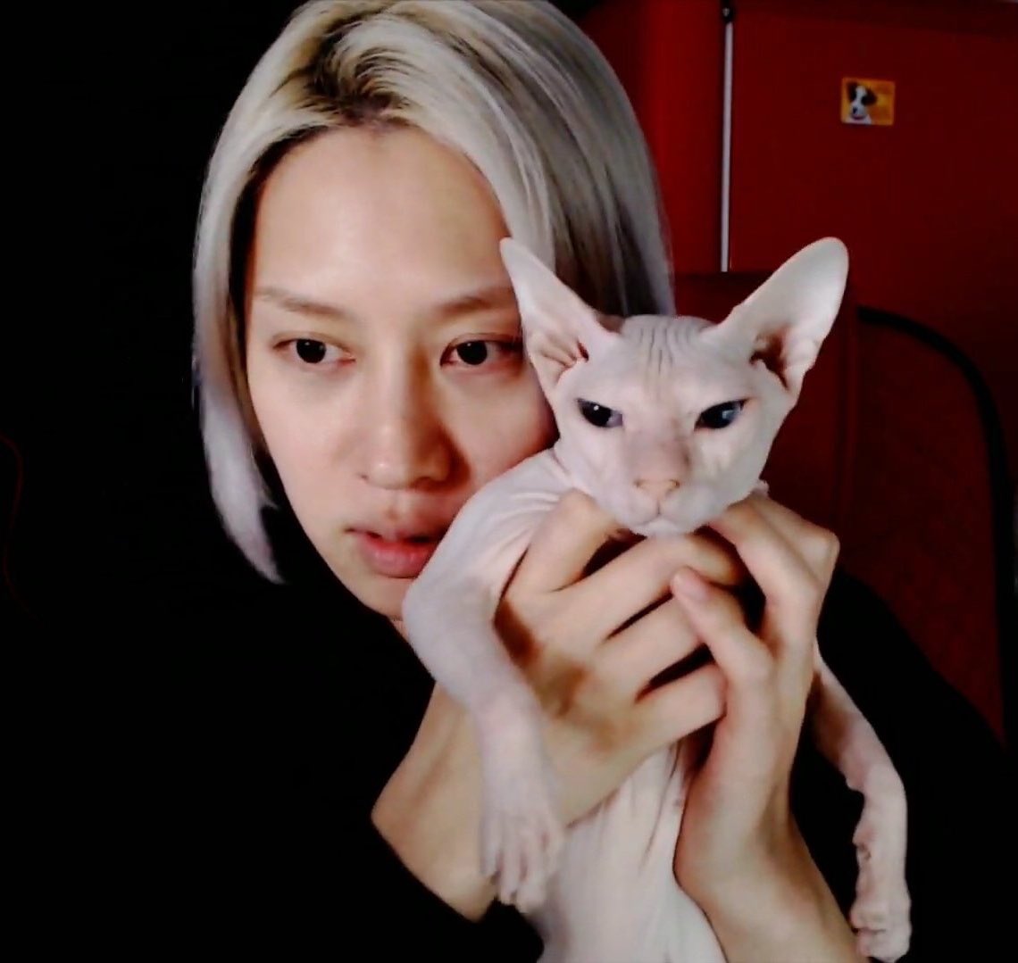 heechul adopted sulli's cat but kept this hidden because he didn't want others to twist the story or to gain public attention, he also wanted to make sure it was happy. it was revealed only after the cat jumped into the camera frame. he cried for many days while looking at it.