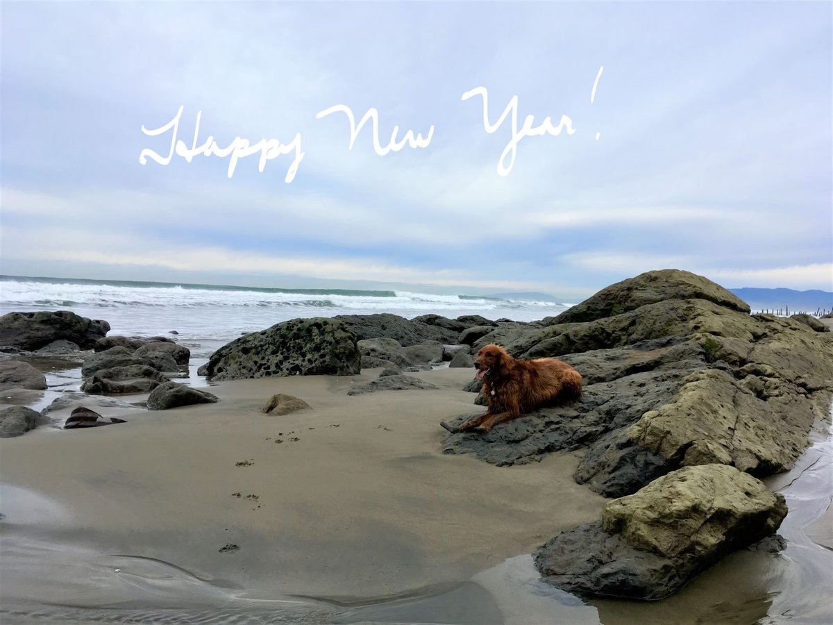Happy New Year