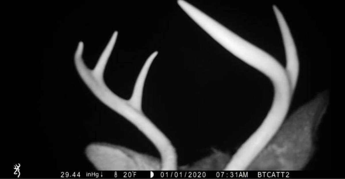 BrowningCams's tweet photo. Here's the first trail camera image of 2020 that Pro-Staffer Zac Hoenes received this morning on his Browning Defender Wireless cell cam! A fitting image for #WhitetailWednesday
#browningcameras #youvegottoseethis #defenderwireless #cellcamera #hunting #deerseason https://t.co/IYp7ZEAWp3