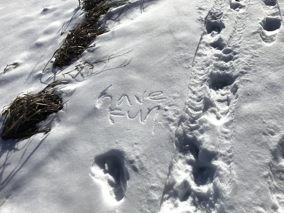 RMPPro's tweet photo. A nice message on the side of a snowy trail. #SeenOnMyRun https://t.co/Nj6RyOQDng