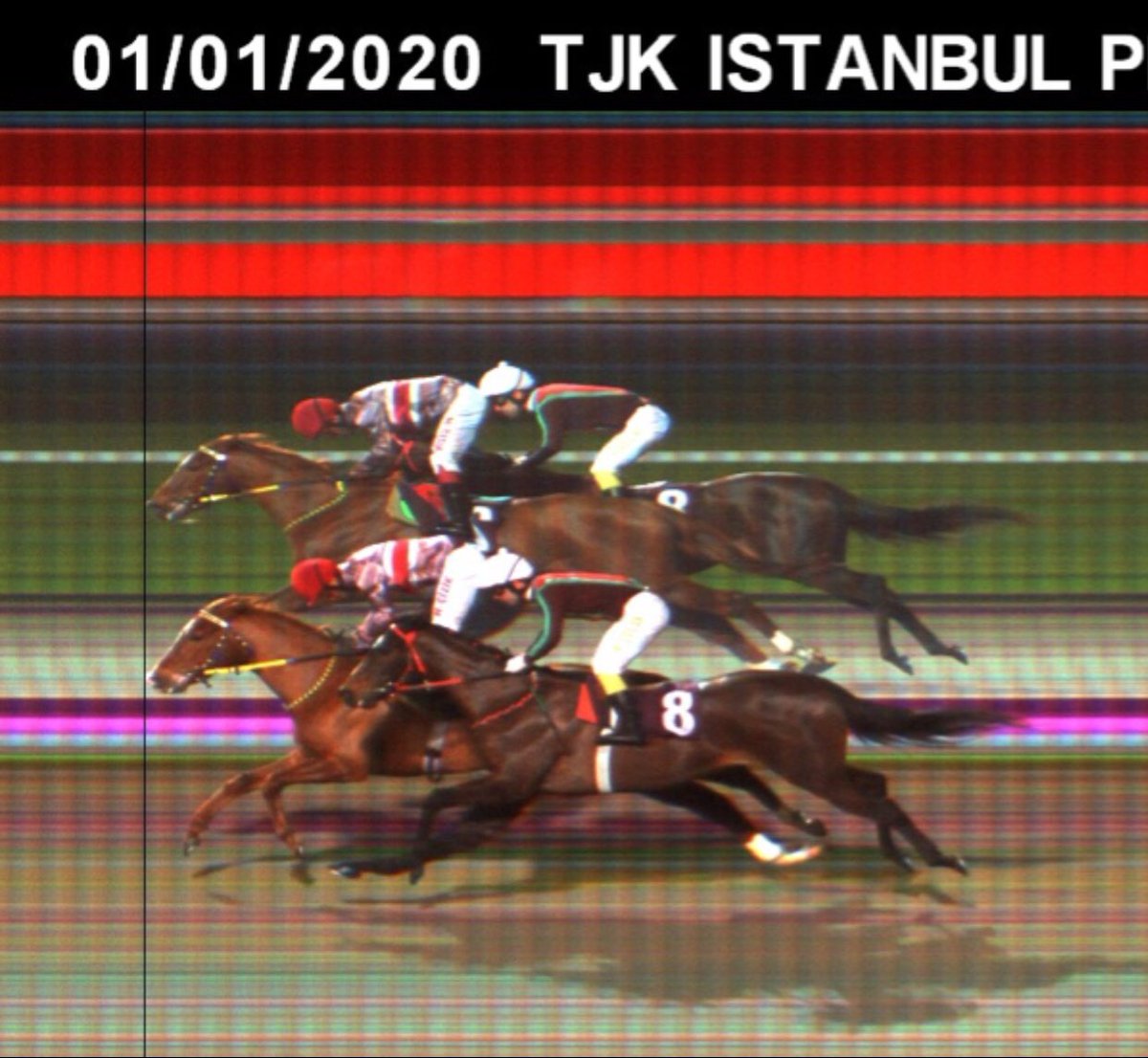 YagmurGursogut's tweet photo. Tebrikler #Egyptus 🍀🤩🏇🏿 bize yeni yılın en güzel hediyesini verdin 🥇 https://t.co/nn12IPUyaz