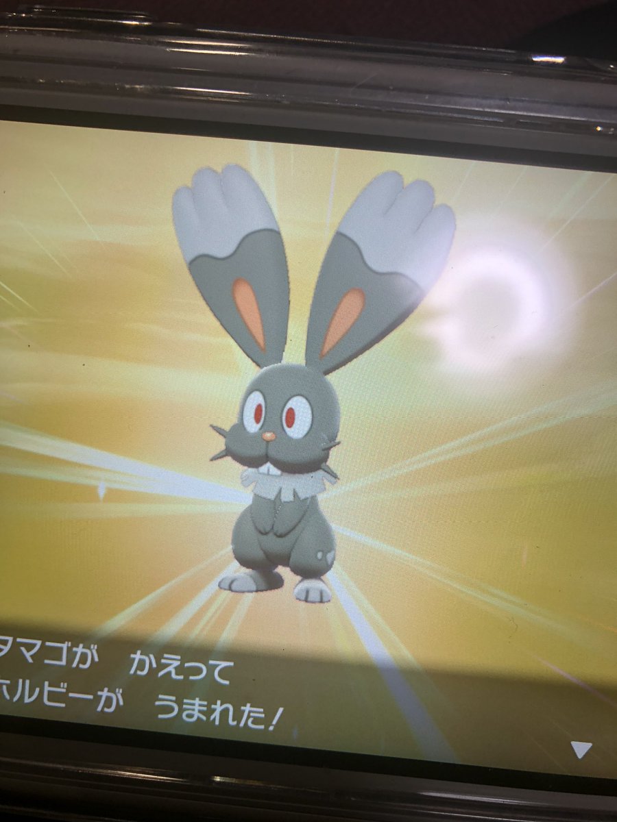 kyo920n's tweet photo. 今お譲りするポケモン孵化してたら....... https://t.co/rycpSWYc3F