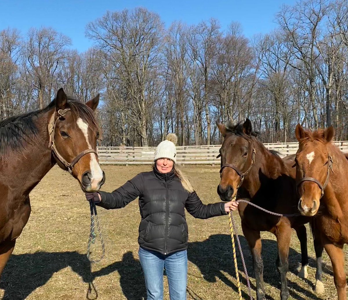 Happy Birthday to my three favorite Thoroughbreds! (L to R) Dancing With Maude 2014, Zabarajad 2008, Moran Gra 2007. Everybody is growing up so fast! ❤️❤️❤️ #StakesPlaced #StakesPlaced #StakesWinner #OTTB