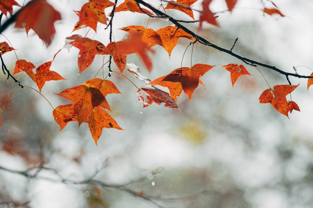 Soundchecked123's tweet image. Free wallpaper