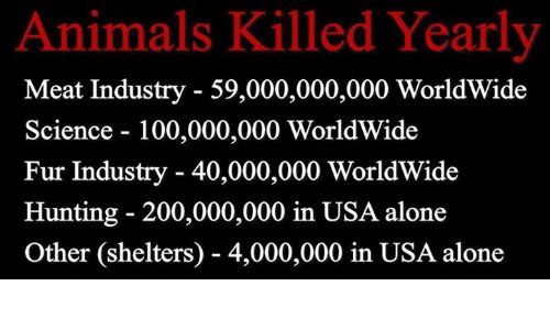 _Happy Year  #ScumPeople You can feel proud and happy to celebrate... The VOICELESS have nothing to celebrate thanks to you... I only ask this new year to reap the fruits of your seeds: CRUELTY, SELFISHNESS and DISRESPECT for the rest of MOTHER EARTH'S children.  #UnKn0wn