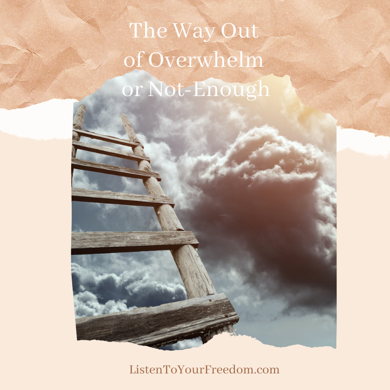 ListenFreedom's tweet photo. When you’re building a business, or putting together a workshop, or trying to make your website better, or writing a book… there will be times you feel inadequate.
https://t.co/reqBJo4weQ
#listentoyourfreedom #smallbusinessowners #entrepreneur #foodforthought https://t.co/cNFMlMykAr