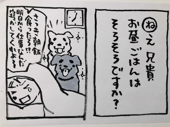 おはようございます犬飼いさんに朝寝坊という文字はない(多分)お正月もおつかれさまですえ私ですかはい箱根駅伝は起きて見ようと思ってますぬくぬく〜今日ご無事で#夜廻り猫 