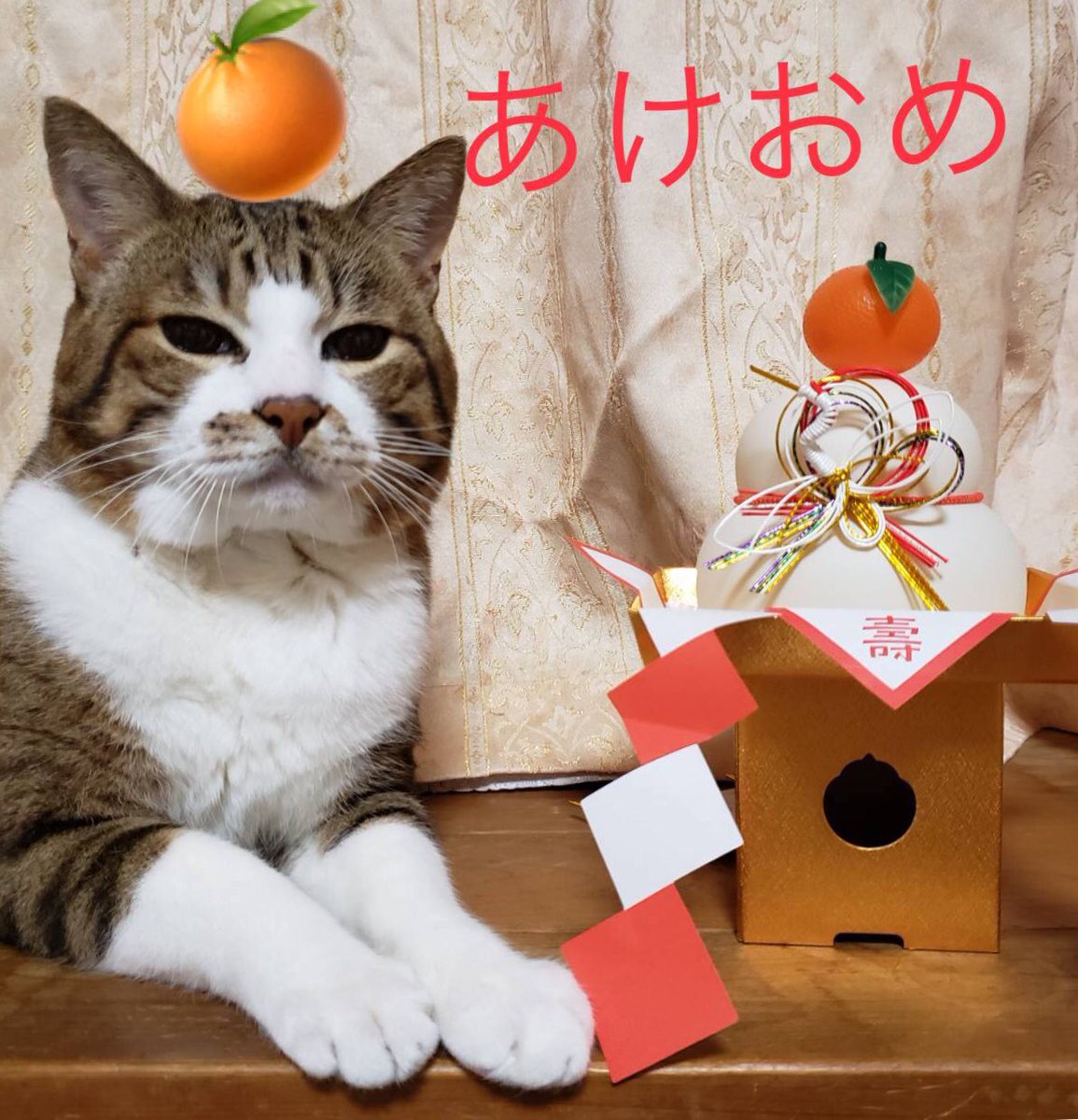 laugh_maker__'s tweet photo. あけおめ🎍 https://t.co/iyLMbulDI0