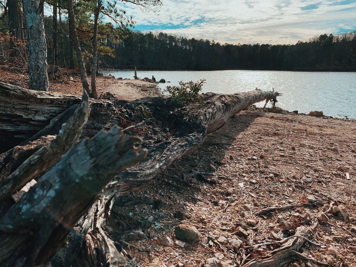 michaelktolbert's tweet image. Brought in the new decade with a First Day Hike at @SC_State_Parks Dreher Is State Park. 

#scstateparks #discoverSC #operationadventure