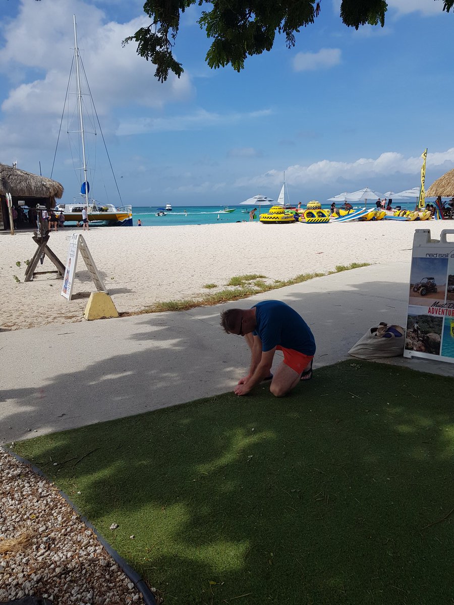 GJonesAstroTurf's tweet photo. @namgrass_north  cheeky install in Aruba 😂😂 https://t.co/m6p075HNXZ