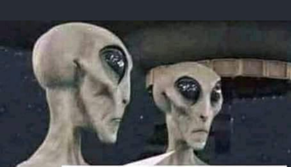 veylasco's tweet photo. -Ils célèbrent quoi ?
-Leur planète a réalisée un tour autour du soleil
-J'avais dit qu'ils étaient très con Mdr https://t.co/PvMSN9QKN5