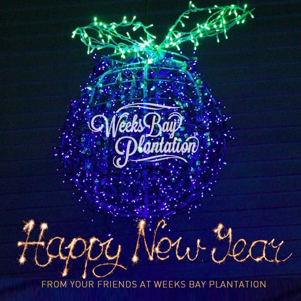 Wishing you all a BERRY, Happy New Year!! 

#weeksbayplantation #wbp #OrganicBlueberryFarm #FairhopeAlabama