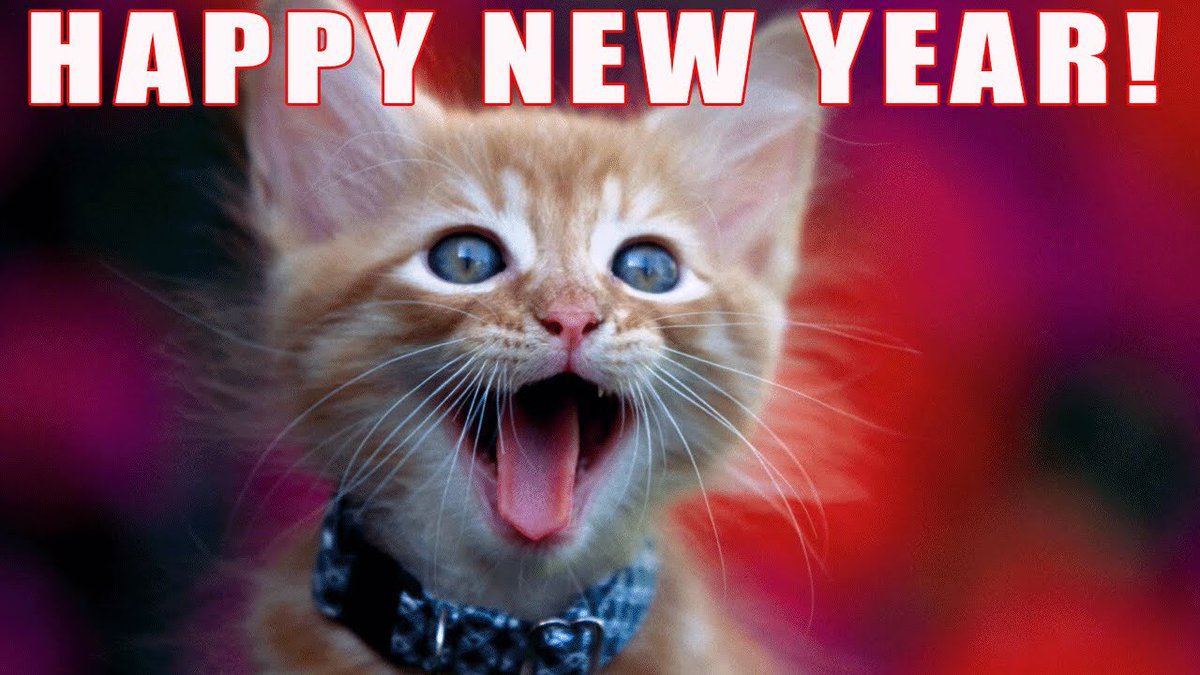 KittyKatFlat's tweet photo. Happy new year everybody!! #newyears #kittykatflat https://t.co/4SzYmQjGCt