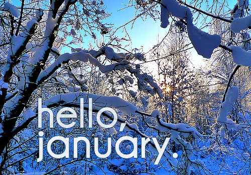 Wishing a #Happy #January to all of our Steadfast Followers! ❄️