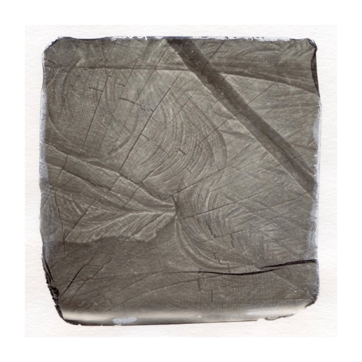 Lift off!

Polaroid lifts in progress... a little <a href="/inside_the_out/">Inside the Outside</a> collaboration for this year. 

Details to follow soon.