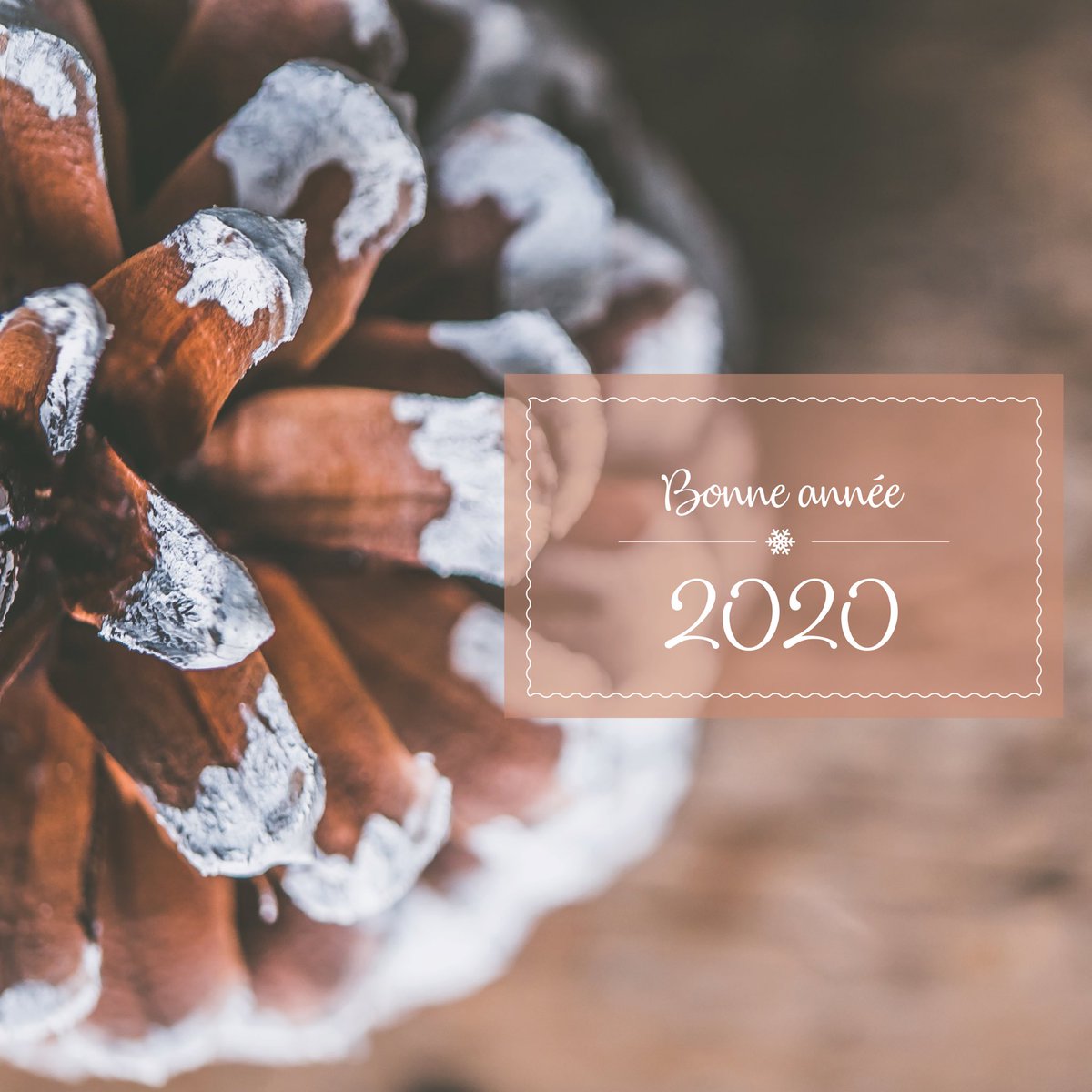 ChloeRoudet's tweet photo. #BonneAnnee2020 https://t.co/8A7npOnBIe