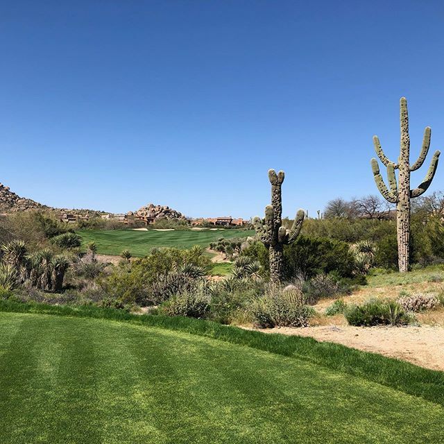GolfNomadBAA's tweet photo. Happy New Year!!! Troon North (Monument) makes my 2019 list at #4 - Was a true pleasure to play here with peak season conditions last March. #golf #golfisgreat #whyilovethisgame #golfstagram #instagolf #golfcoursephotography #golfcoursearchitecture #tomw… https://t.co/MOyEsY92L0 https://t.co/TaRD9eWnCK