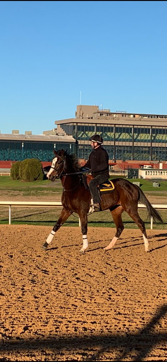 barrett_roddina's tweet photo. Just a fun morning at Oaklawn 🍾 Happy New Year .. https://t.co/eoYxZvzjTk
