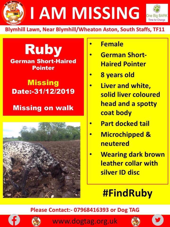 #FindRuby
31/12/19 
#Missing on a walk in fields near #Blymhill Lawn, near to #Blymhill/#WheatonAston, South #Staffs, #TF11 
German short-haired #pointer 8yrs old Liver&amp;white part docked tail 
CHIPPED &amp; NEUTERED 
facebook.com/15529515883269…
