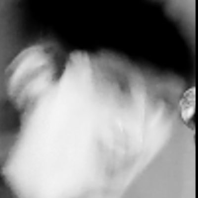 mobintheband's tweet photo. Professional candid of maxx from last night  #NewProfilePic https://t.co/6uVuRtiERg