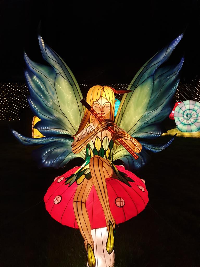 Longleat lanterns looking fantastic