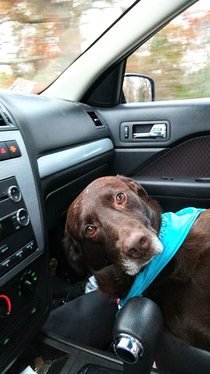 Luke loves going for a ride.