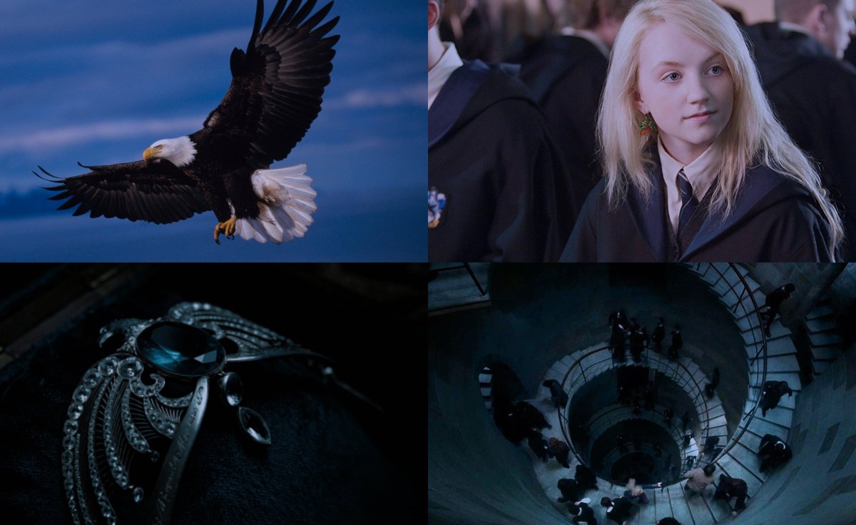 EiProfeta's tweet photo. RT si eres Ravenclaw. https://t.co/BDd6jtTLoq
