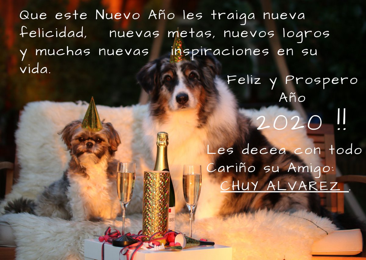 Chuy Alvarez (@chuyalv25563563) on Twitter photo 