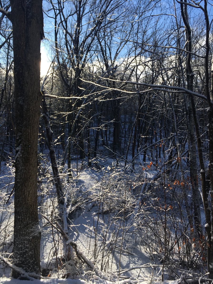 Unposed (@unposed) on Twitter photo Started the New Year off with a hike, packed the good camera but without a battery! <a href="/luapsil/">Paul Nichols</a> still got a photograph or two on the iphone <a href="/OntarioParks/">Ontario Parks</a> #FirstDayHike Started the New Year off with a hike, packed the good camera but without a battery! <a href="/luapsil/">Paul Nichols</a> still got a photograph or two on the iphone <a href="/OntarioParks/">Ontario Parks</a> #FirstDayHike