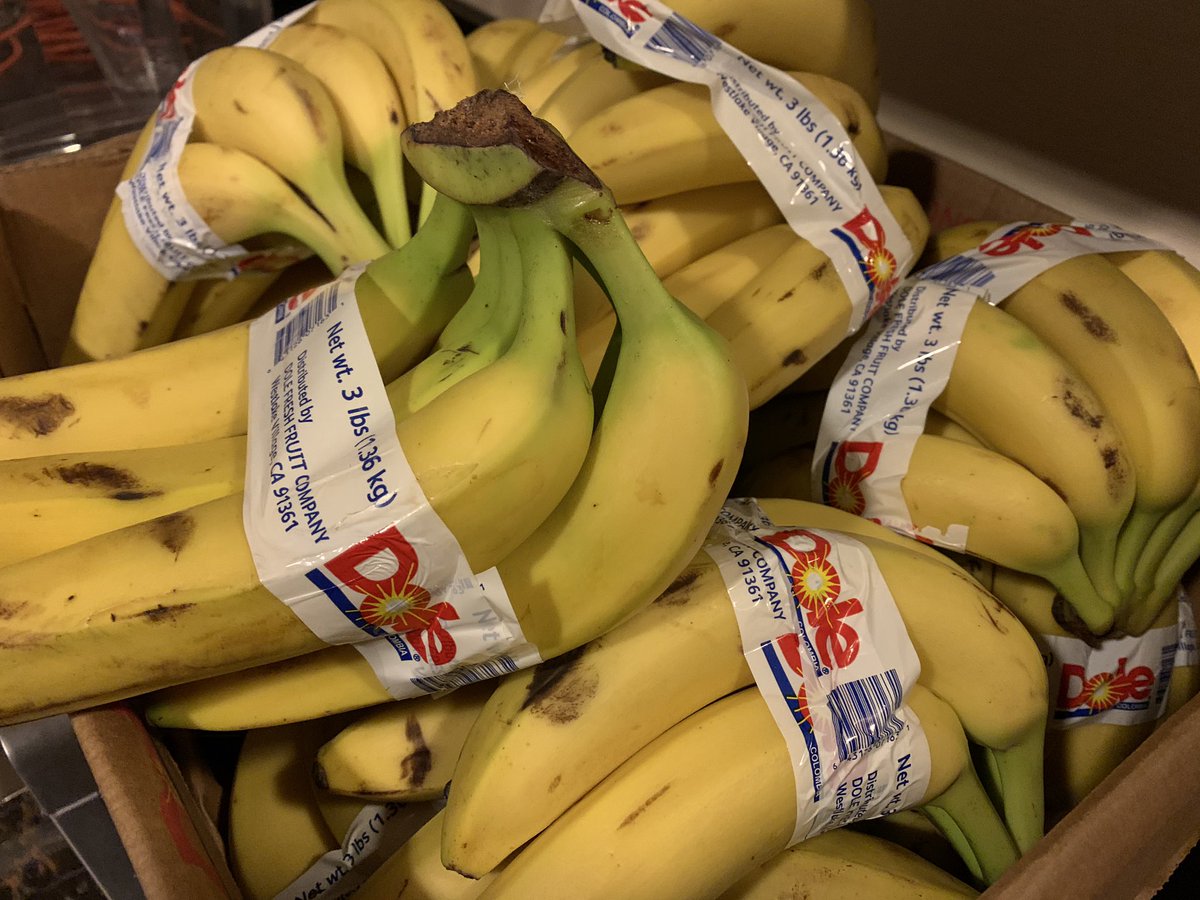 MAGFest must be starting soon or something.