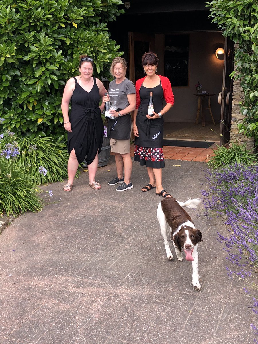 SeifriedEstate's tweet photo. Happy New Year!! We are here, all day every day through January from 10am - 5pm for your wine tasting pleasure. Come say g’day and have a taste of our latest work #nelsonshines #winenelson #extraordinarynelsontasman https://t.co/F70snM29O8