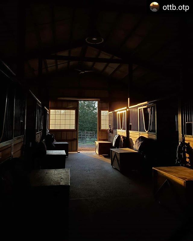 DeckerMfgCo's tweet photo. As dawn breaks on a new year remember to appreciate those who have brought joy to your life. Say thank you. Tell them you love them. Do something nice. And, have a great 2020!
📸 @ottb.otp
• • • • •
-
-
-
-
-
-
-
-
#pony#majestic#horsemanship#dres… https://t.co/lVdxBiLy5s https://t.co/5X733MyZFT