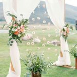 Photo by ColoradoPartyRentals (@copartyrentals)