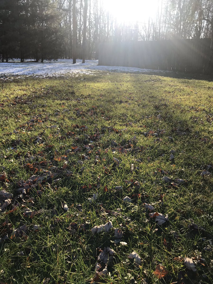 prepause's tweet image. Snow and green grass New Years day gives me the best of both seasons