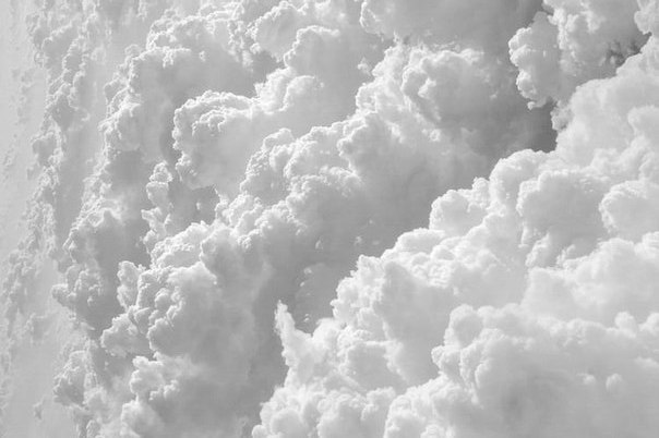 Archillect (@archillect) on Twitter photo 