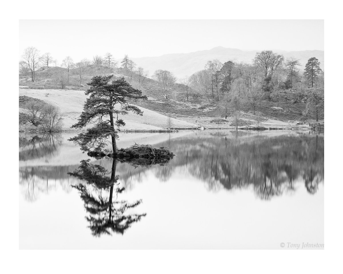 Tarn Hows mono one from last week
#landscapephotography #Cumbria #notjustthelakes #Lakeland #Lakedistrict #thephotohour #theplacetobe #landscapelovers #mountains #lakelife #BestofCumbria 
@CumbriaWeather @WildLakeland #Tarnhows #Monochrome