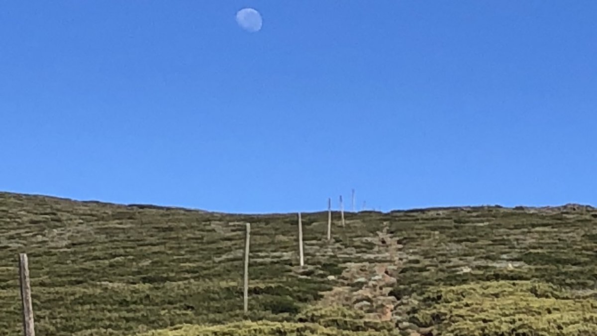 The 2nd and 3rd  #AAWT weeks were all about the highest of High Country in the state of Victoria. There’s a line of snow poles to follow in the 50km or so between Mt Hotham and Mt Bogong. Just follow the poles. All 1300 of them.