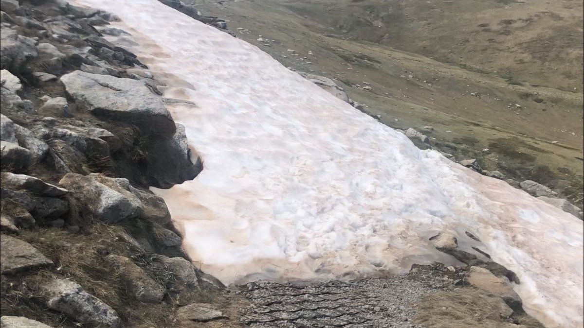 After Thredbo, the # #AAWT crosses Australia’s highest peaks, in the area imaginatively named “The Main Range”. Snow patches generally persist there till about Feb. I love the first pic. Can you tell which is snow and which is rock?