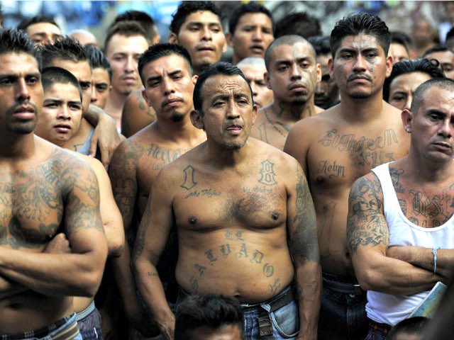sanctuary_no's tweet image. Talked to some #prosovereignty #AmericaFirst pals in #Massapequa &amp;amp; #MassapequaPark today. Apparently, @TheMikeLiPetri is the real deal. The #MS13 lobby hates him. Be more #Trump than Trump, and you’ll win Mike. Fade to another Pastel Republican and you’ll be a political footnote.