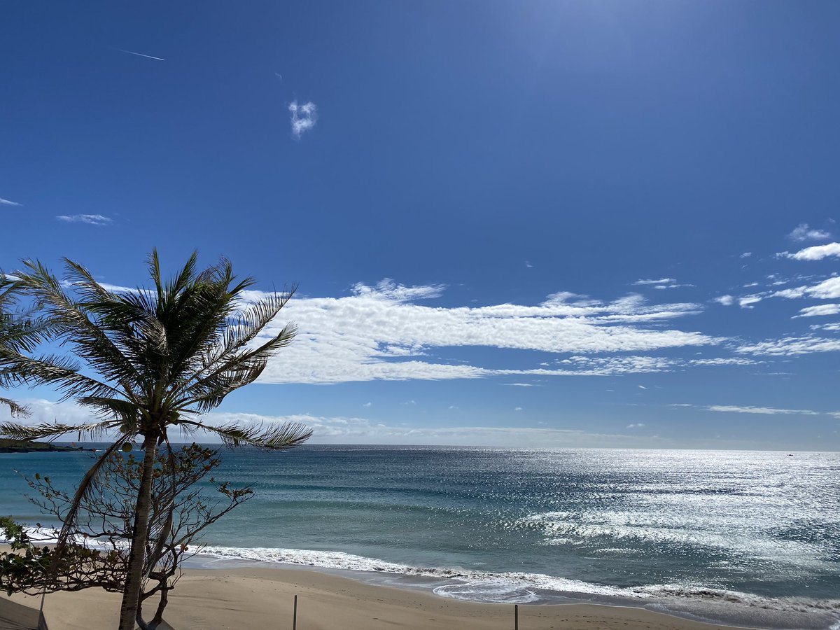 🍾🍾🥂Here is to 2020 to be a good one to all our customers! Send you our warmest wishes from Taiwan! Thank you for your amazing support in 2019! On 2nd of January we are back to our usual opening times Wednesday-Saturday 10am-5pm.