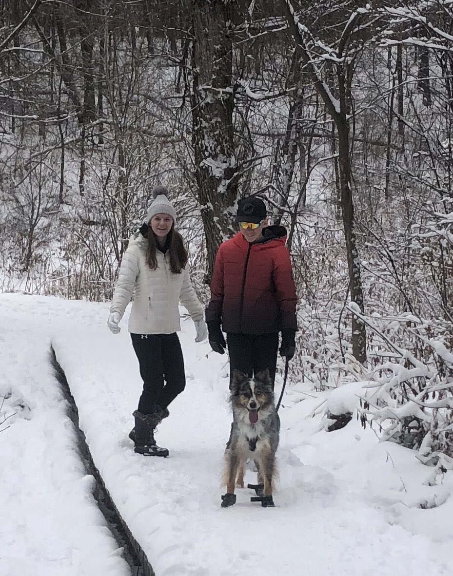 dgallagher11's tweet photo. New years resolution: more walks in the woods! https://t.co/n85Pn8aAQA