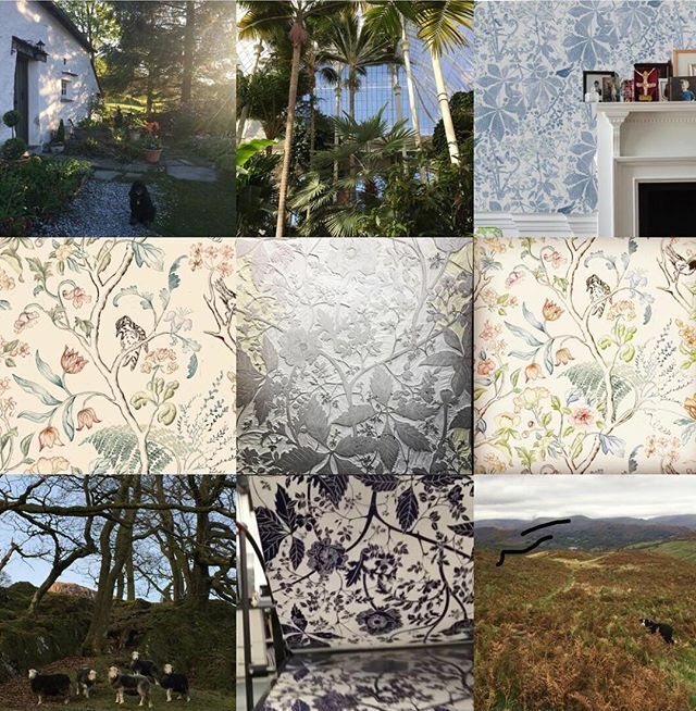 _LauraSowerby's tweet photo. Best 9 moments of 2019 according to Instagram #handprinted #wallpaper #blockprinting #interiordesign #chinoiserie #artisan #handmade #printmakers https://t.co/8ehSCmHq7o https://t.co/v972r51Xbo