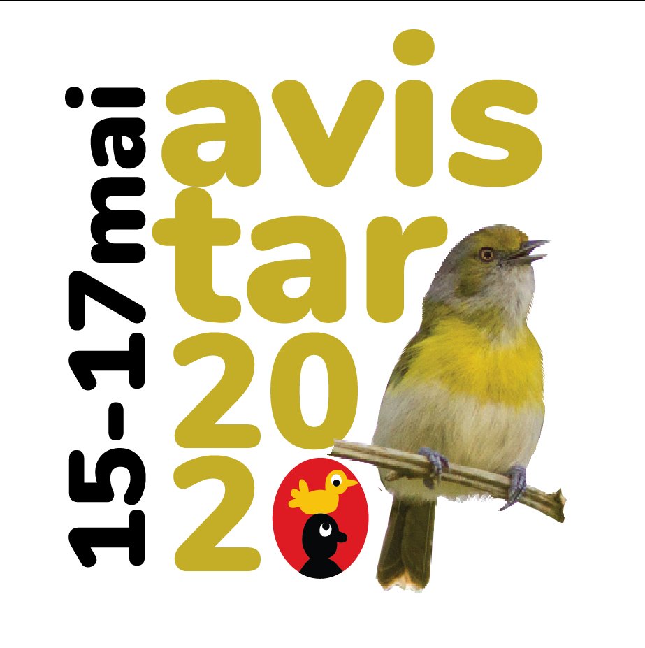 AvistarBR's tweet photo. Vem aí AvistarVite-vite https://t.co/uXSimRqqf7