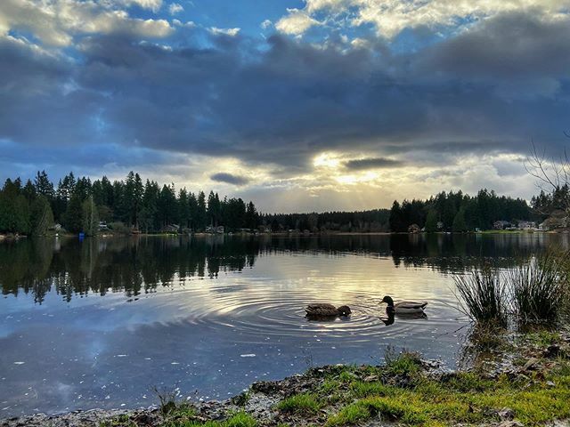 stepharriaga's tweet photo. Ringing in the New Year with a nice little sinus headache and congestion but I had to take advantage of the specks of blue and sun peeking through the clouds ⛅️ #happynewyear 🎉
.
.
.

#nature #naturelover #natureaddict #aov #adventure #adventures  #v… https://t.co/zwacSAopd8 https://t.co/pBnlqX8IdQ