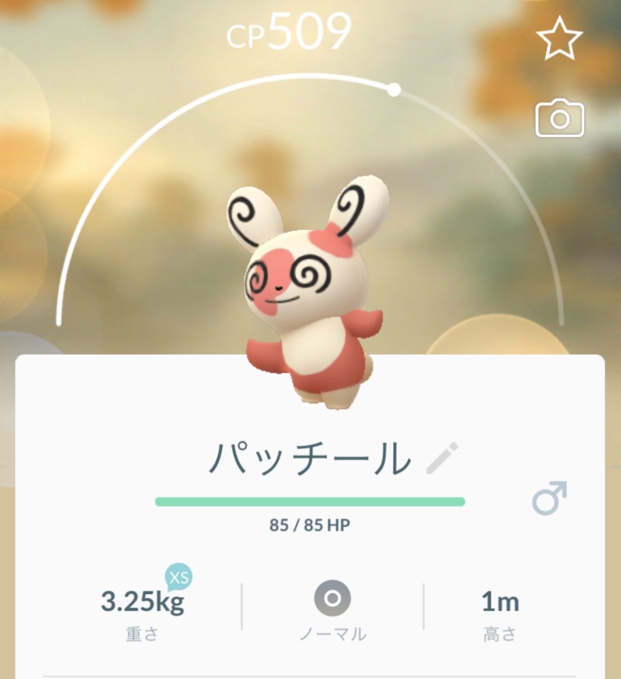 Sunu パッチール 初の 番 ポケモンgo パッチール T Co 3cmjvmkjjq Twitter Sunu パッチール 初の 番 ポケモンgo パッチール T Co 3cmjvmkjjq Twitter